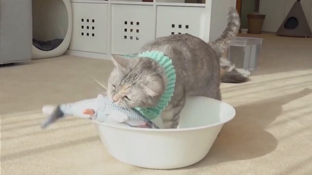 Интерактивная игрушка-рыба для кошек и собак "Танцующий карп" USB-зарядка смотреть онлайн