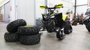 Квадроцикл 3 в 1 (снегоход, болотоход, квадроцикл) Raptor 125.Обзор и устройство