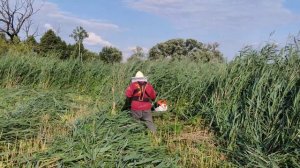 My wife and clearing saw trimmer Stihl FS 560 C / Moja żona i kosa spalinowa Stihl FS 560