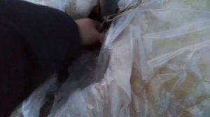 Температура на улице и в теплице в самые сильные морозы