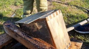 Как очистить мисочки для вывода маток? Лайфхак для матководов