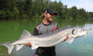 113.Трофеи 22.mp4