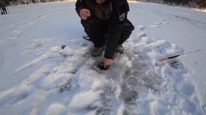 Зимняя рыбалка на ОКУНЯ и СОРОГУ в Бирюсинском заливе!