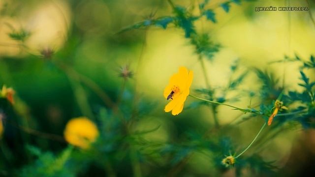 природа 22