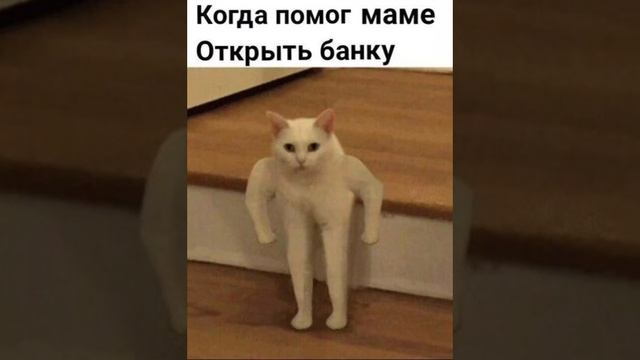 помощник