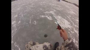 Открытие сезона зимней рыбалки: Бердский залив Обского вдхр.