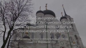 Слово митрополита Сергия в праздник Крещения Господня