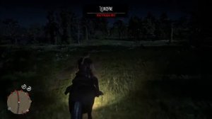 RDR  2 online  23