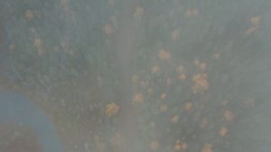 Пришел с работы пораньше и увидел, что жена собирает вещи. Узнав что случилось, он сразу же...