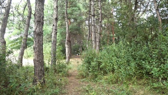 Уха в казане на костре. Филия 2021. Река Волчья. смотреть онлайн