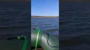 Четырёх тактный лодочный мотор с воздушным охлаждением !