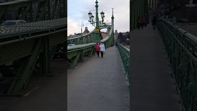 Мост Свободы - Liberty Bridge/Будапешт, Март 2021.