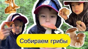 Это мои первые грибы 🍄🟫
