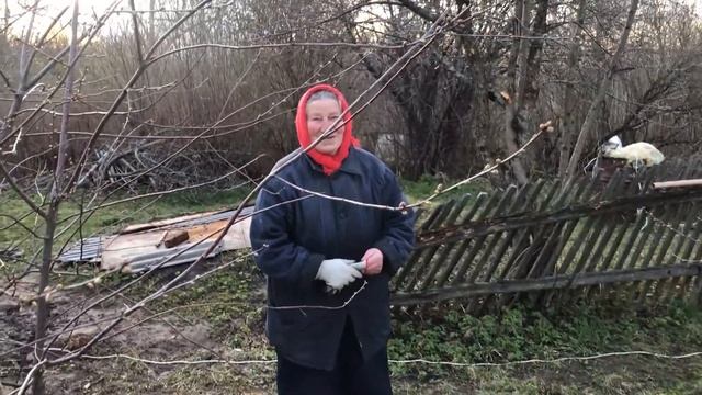 СУПЕР БЫСТРО! | Минимальная каркасная баня 4х5
