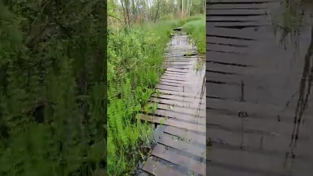 Бездонное озеро Солнечногорский район смотреть онлайн