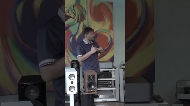 Бюджетный Hi -Fi для дома Shorts #hifi #shorts #short #акустическиесистемы