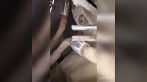 Звук выхлопа infiniti Q60