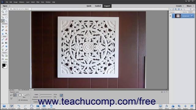 Learn How to Use the Magnetic Lasso Tool in Adobe Photoshop Elements 2023: A Training Tutorial смотреть онлайн