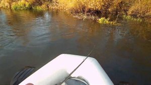 Imakatsu Riprizer 130 Foot Magic спасает безнадежную рыбалку. Сплав по реке в конце октября.