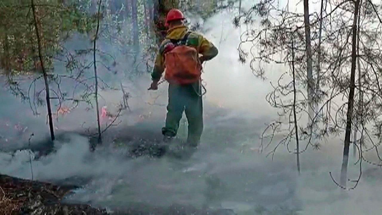 В России за сутки загорелись еще 10 тысяч гектаров леса