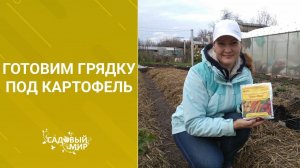 Готовим  осенью грядку под самый ранний картофель