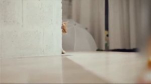 Приключения Ам-Ням 1сезон, 1серия