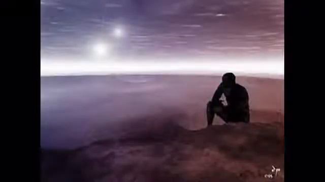 25_17 - Птица.mp4 смотреть онлайн