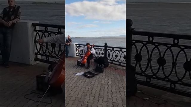Виолончелист на набережной Амура г. Хабаровска смотреть онлайн