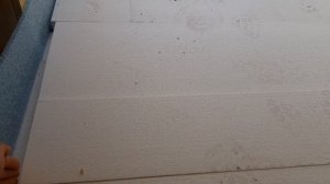 Укладка пенопласта в помещении в два слоя под стяжку. 10 мая 2020 года. Ганновер