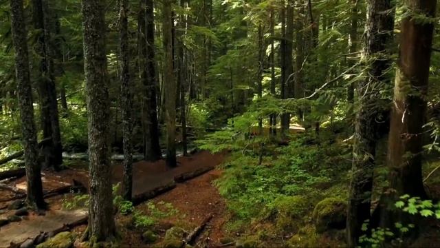 Гарри Поттер и Узник Азкабана смотреть онлайн