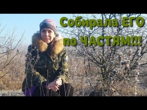 Коп 2020.ЕСТЬ ОТЛИЧНЫЕ НАХОДКИ!