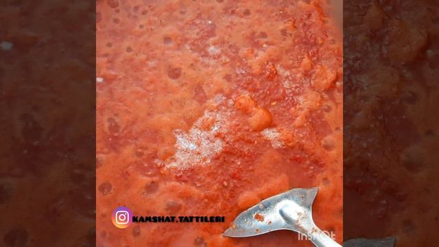 САЦЕБЕЛИ салаты. Жылда жасайтын рецепттерімнің бірі