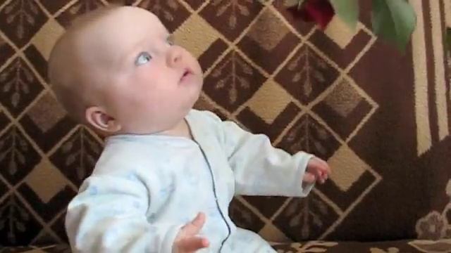 Охота на розочку смотреть онлайн