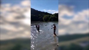 Анапа. Лысая гора. Кипарисовое озеро. Видео 1