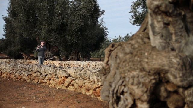 Miyazawa Artist Mario Caroli Debussy Syrinx смотреть онлайн