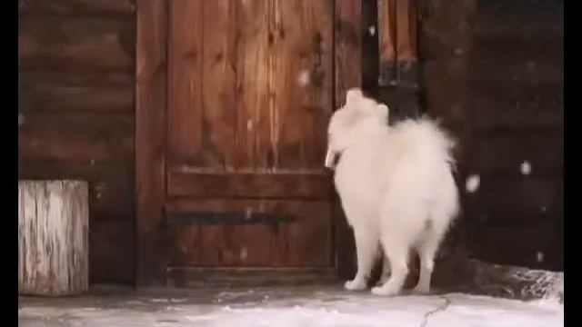 МТС 10 тысяч минут на Отличном.mp4.webm смотреть онлайн