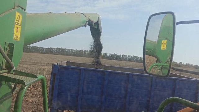 Закончили убирать класику и переехали на нулевой подсолнух. смотреть онлайн