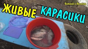 ЖАРЕНЫЕ КАРАСИ / КОШКИ КУШАЮТ РЫБУ