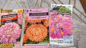 Правильно ли мы  сажаем цветы ?????часть 2 Астра однолетняя и многолетняя