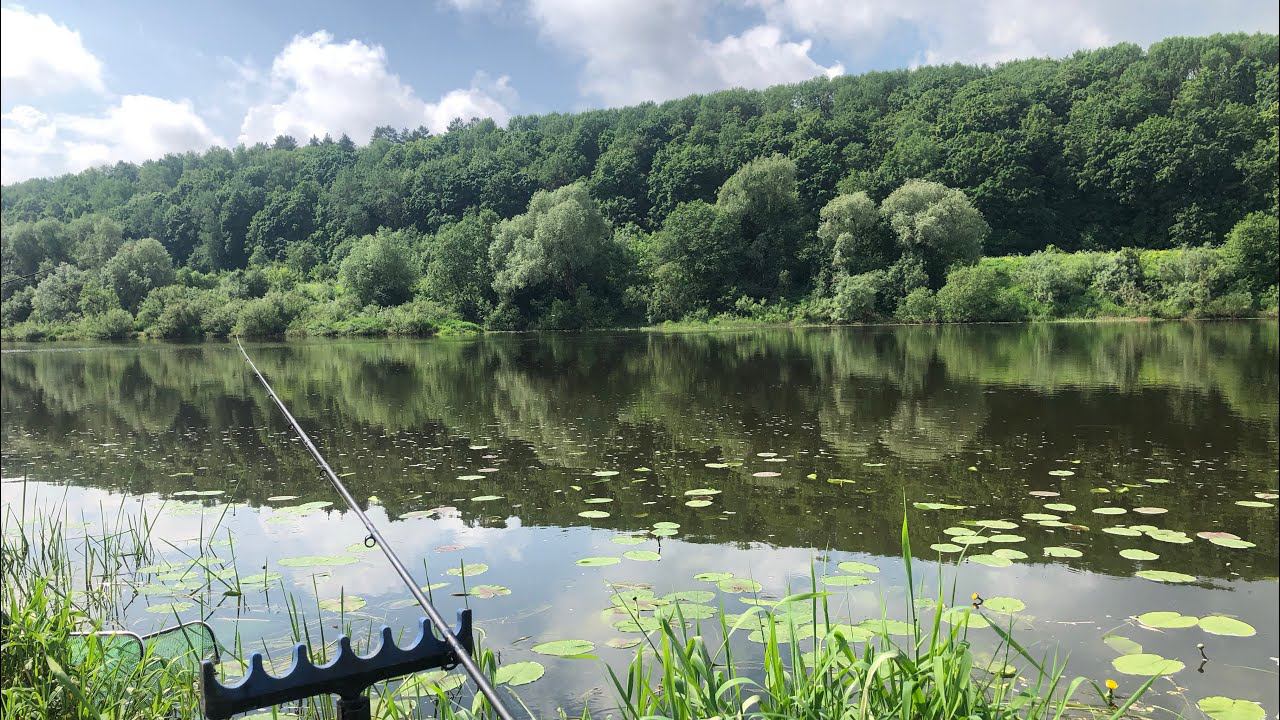 ФИДЕР на РЕКЕ в БЕСКЛЁВЬЕ / Рыба не Клевала НИ у КОГО а МЫ ПОЙМАЛИ смотреть онлайн