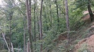 Сочи - Москва 2021 (1): Скала Киселева