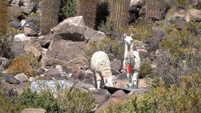 WORLD'S BIGGEST MIRROR | Uyuni Salt Flats, Bolivia смотреть онлайн