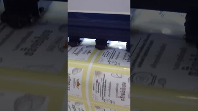 Epson L1300 / L1800 Vinyl Sticker Printing & Cutting