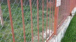 НАПАДЕНИЕ ТИГРА НА ЧЕЛОВЕКА В ЗООПАРКЕ
