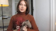 Мои необходимые аксессуары/// Платки, шарфы, палантины