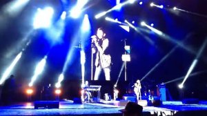 Ночные снайперы - Сенбернары