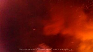 Пожар на Мшинской в садоводстве Озон