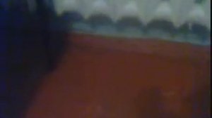 мышь в палате больницы