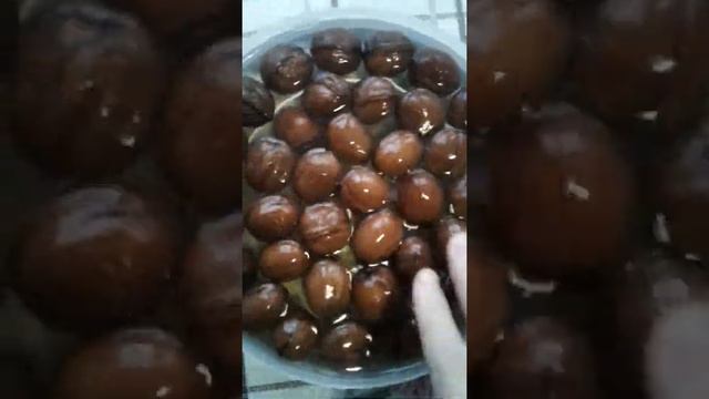 Грецкий орех замачивание и проращивание