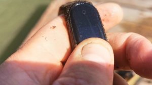 Поход с жадиной